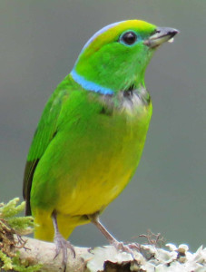 Copia de IMG_3110